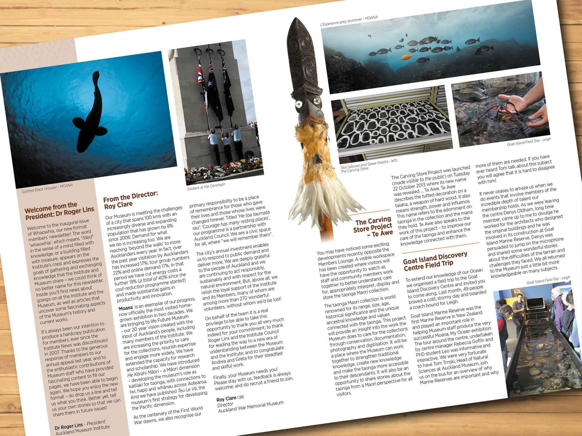 Whaowhia — Auckland Museum (2)